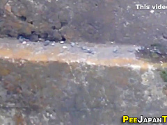 Japanese Eighteen Years Old Girl Babes Pee