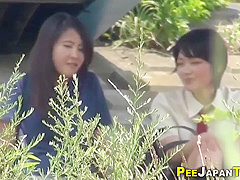 Japanese Eighteen Years Old Girl Babes Pee