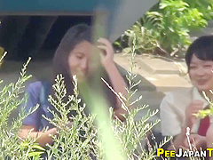 Japanese Eighteen Years Old Girl Babes Pee