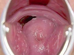 Na Na And Nana Natsume In Ami :: Pussy Encyclopedia