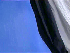 Japanese Teen With Pigtails Spreading And Fingering