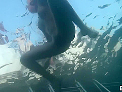 Japanese Amazing Nymph Memorable Video