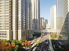 Hmn 435 Even Though I Had A Customer I Drank An Aphrodisiac