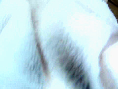 WYDA339 Cuteeeee asiaaan sex OH YEAH