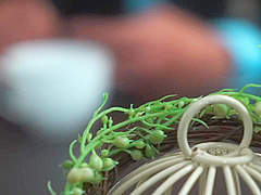 WYDA305 Good japaneeseeee SEX AHHHHH