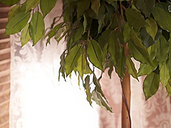 Silk-146 In Heat All The Time Ii