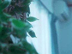 Adn-506 My Beloved Wife Said To Me, I Found The Person - Mary Tachibana