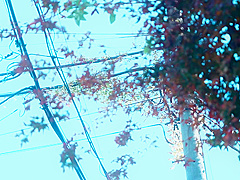 篠田ゆう　電車で初めての痴漢にあってしまい初めての快感