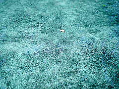 紗倉まな　人妻がセクハラされたくてコンビニでバイトする