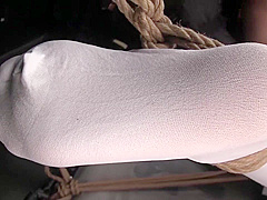 Best Porn Scene Stockings Exotic Only Here