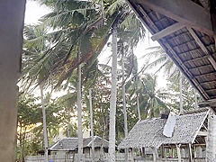 Exhibitionist Emily Pinero Sucks Cock And Strips On A Public Beach