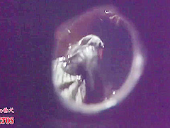 Japanese Persuasion 12 Min