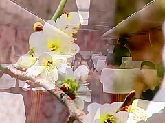 Rui Saotome - JUC-350 Tradegy of Young Female Tour Bus Guide