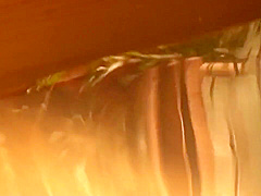 Itou Mayuki (CAWD-030)