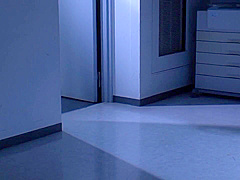 國家關閉水稻杏梨醇 JUFD-285-A