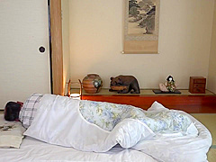 Sexy japanese teen maid in too short miniskirt exposing her big ass on cam!