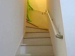 Incredible xxx video Ass new , it's amazing