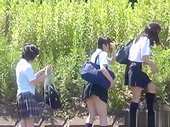 Uniformed Asian Sluts Pee Outdoors