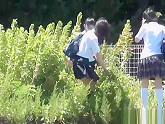 Uniformed Asian Sluts Pee Outdoors