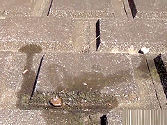 Uniformed Asian Sluts Pee Outdoors