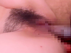 Big Tits Box 2 Busty Lascivious Gal