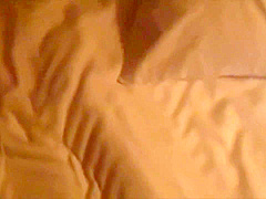 Astonishing Adult Clip Hd Wild Just For You
