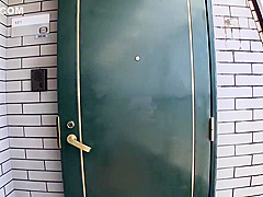 Incredible Adult Exotic Exclusive Version