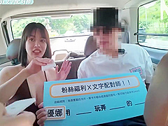 Summer Fan Appreciation Festival