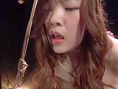 04211 Fall into pleasure training