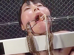 04215 beautiful girl and female teacher