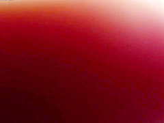 Horny Xxx Movie Short Video(technical) Hottest Show With Asian Angel