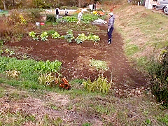 Japanese Hottie Tastes Her Own Pussy Creampie With Maki Houjyou