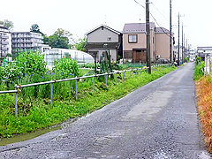 0008547_ブルマ 接吻 連続絶頂などが含まれている