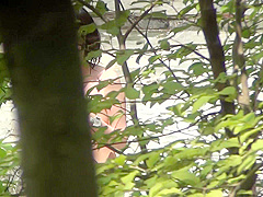 korean panty hunter voyer7