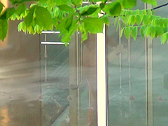 korean panty hunter voyer7