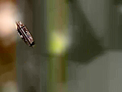 0010526_睡姦 デカパイ 性奴隷などが含まれている