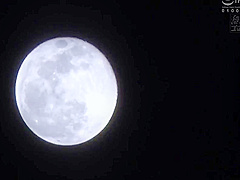 Haruka Sasaki, Maina Ayase And Hibiki Otsuki - A Frustrated Neighborhood Lingerie Married Woman Competing For My Unfaithful Cock. .1