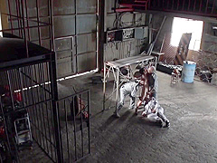 Junko Ishikura - Old Japanese Stepmom Enjoying A Young Dick