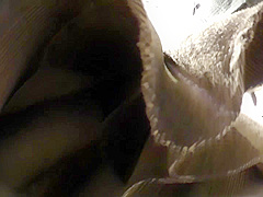 fglkfdlkgddssjhsdsdavvhxbjabhabsnksadnkn-268