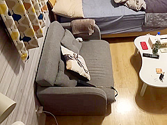 0012334_強制 側位 強姦などが含まれている