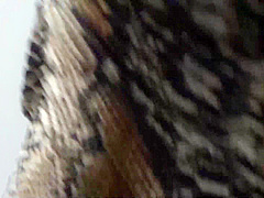 jfdhfkjdfgjdfgkfdjdkjfklgjdfkgdkllkgdflk-359