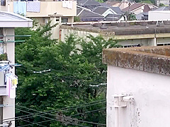 Kokoro Wakana, Kaori Amamiya And Momo Nanami - Asian Milf Travels Into The World Of Sex Life