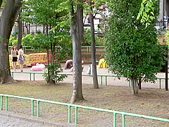 Kokoro Wakana, Kaori Amamiya And Momo Nanami - Asian Milf Travels Into The World Of Sex Life