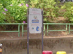 Kokoro Wakana, Kaori Amamiya And Momo Nanami - Asian Milf Travels Into The World Of Sex Life