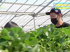 0005221_JAV_JapaneseAV_Censored_MGS_19min