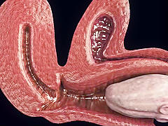 Hentai Redhead Bondage Cumflation Creampie Filled With Loads Of Cum By Toilet Monster With Sata Jones