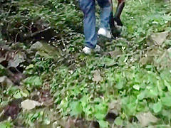 A Blonde And A Dark-haired Beauty Share Wild Passion Beneath The Open Sky -b - Mao Hamasaki