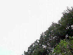 JRW-008 True Naughty Farming Stories 4