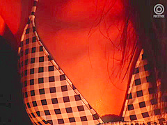 0008349_JAV_JapaneseAV_Censored_MGS_19min