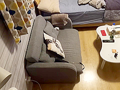 0008564_JAV_JapaneseAV_Censored_MGS_19min